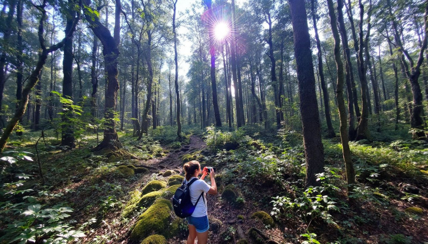 Explorez les sentiers cachés pour une randonnée inoubliable en nature